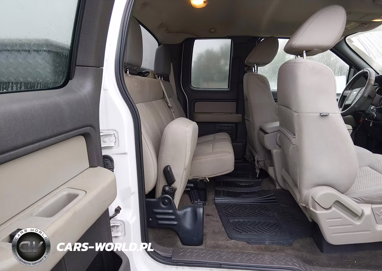 2010 Ford F-150 Stx-Xl-Xlt VIN:1FTEX1E80AFD76279 - 8