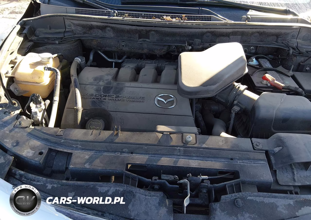 2010 Mazda Cx-9 Sport VIN:JM3TB2MA9A0211888 - 10