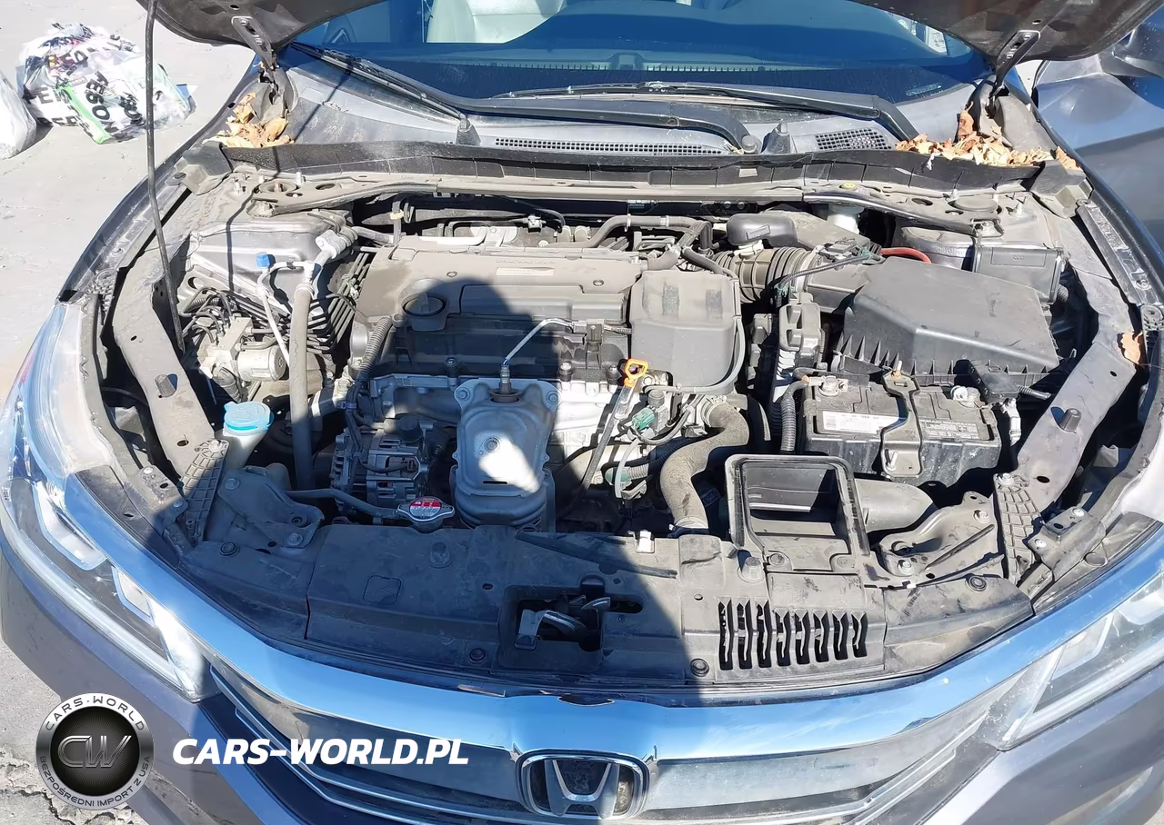 2016 Honda Accord Ex-L VIN:1HGCR2F86GA142578 - 10