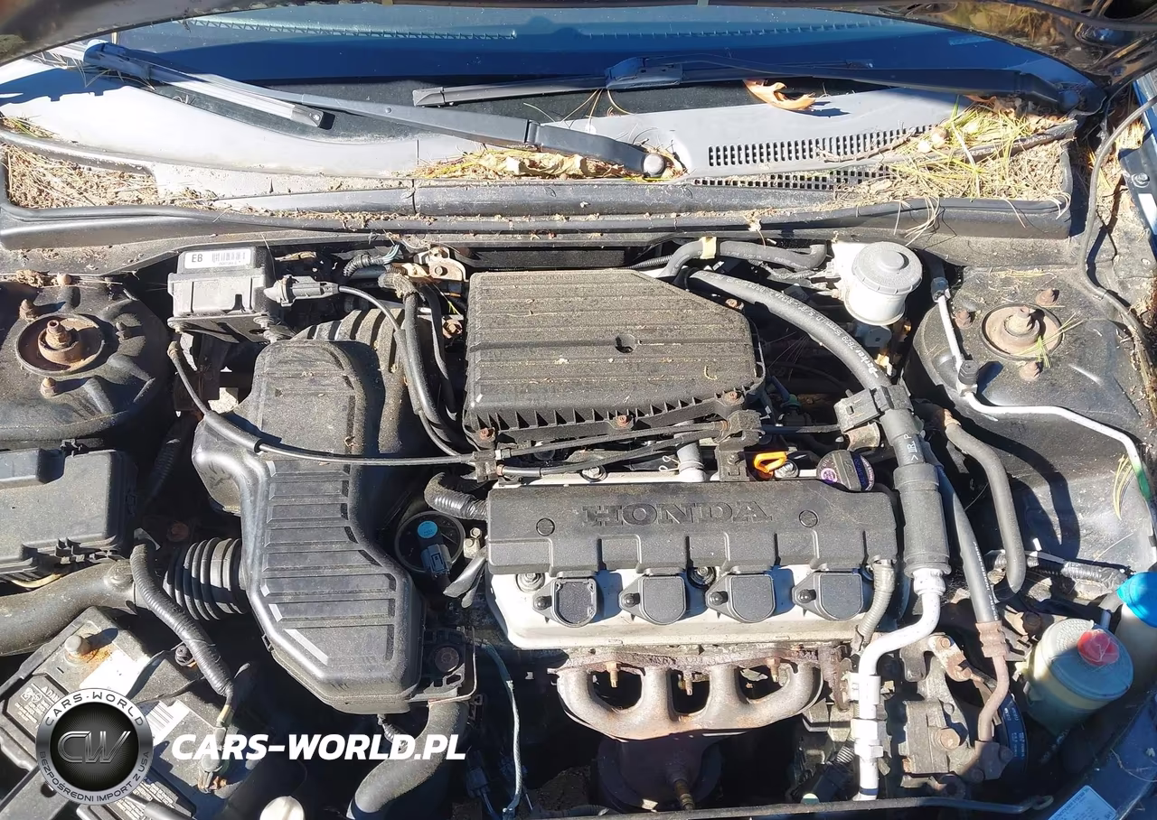 2005 Honda Civic Lx VIN:1HGEM22565L054229 - 10