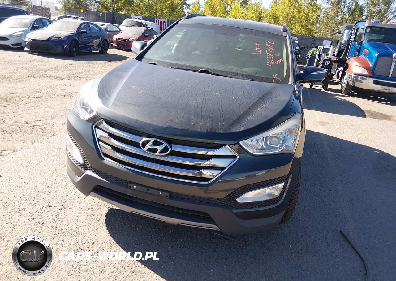 2014 Hyundai Santa Fe Sport 2.0L Turbo VIN:5XYZUDLA9EG149743 - 12
