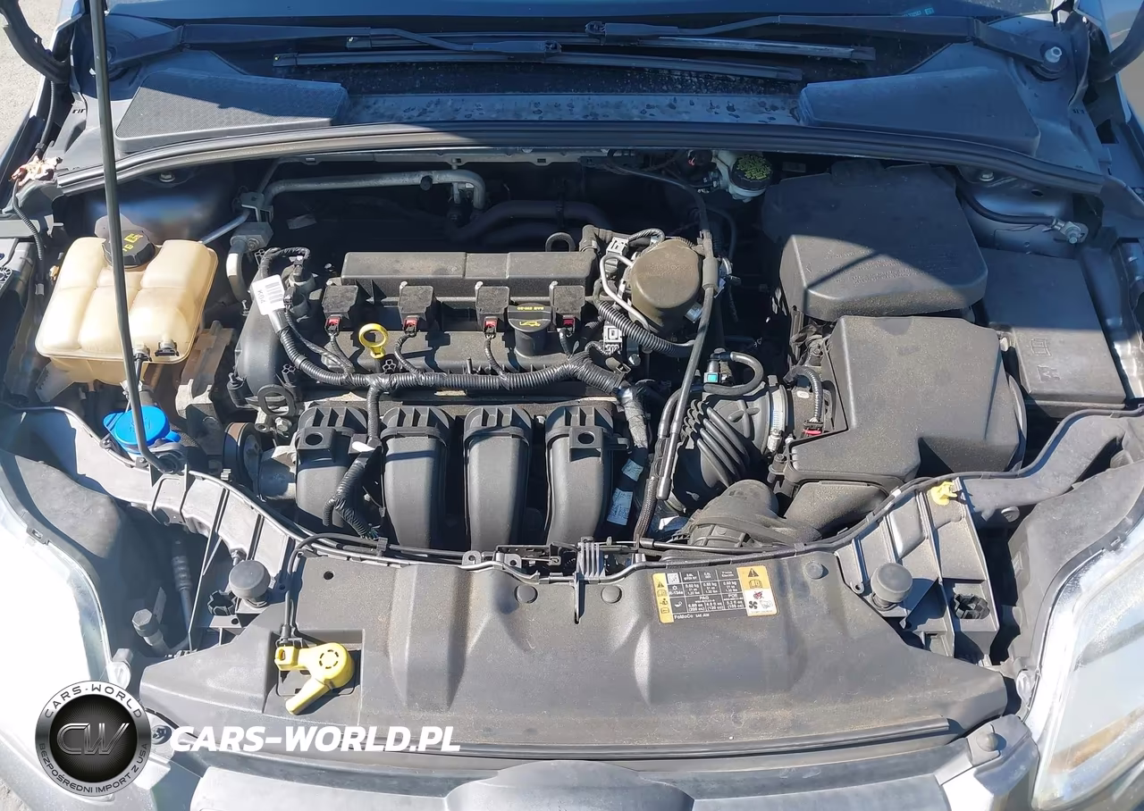 2014 Ford Focus Se VIN:1FADP3K23EL332507 - 10