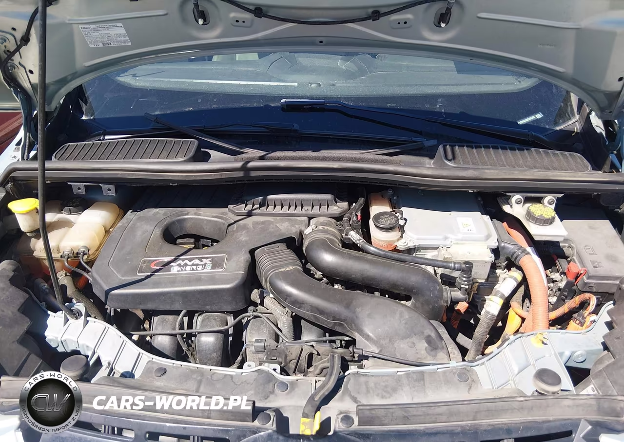 2014 Ford C-Max Energi Sel VIN:1FADP5CU8EL501352 - 10