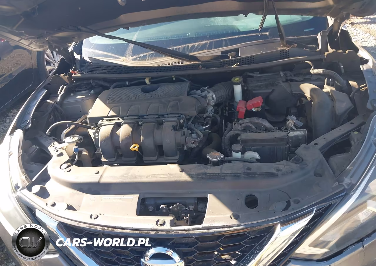 2016 Nissan Sentra Fe+ S-S-Sl-Sr-Sv VIN:3N1AB7AP6GY215808 - 10