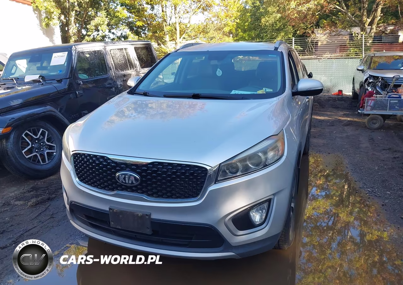 2016 Kia Sorento 2.0T Ex VIN:5XYPH4A18GG018367 - 12