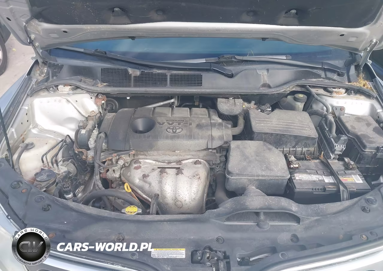 2010 Toyota Venza VIN:4T3BA3BB2AU017143 - 10