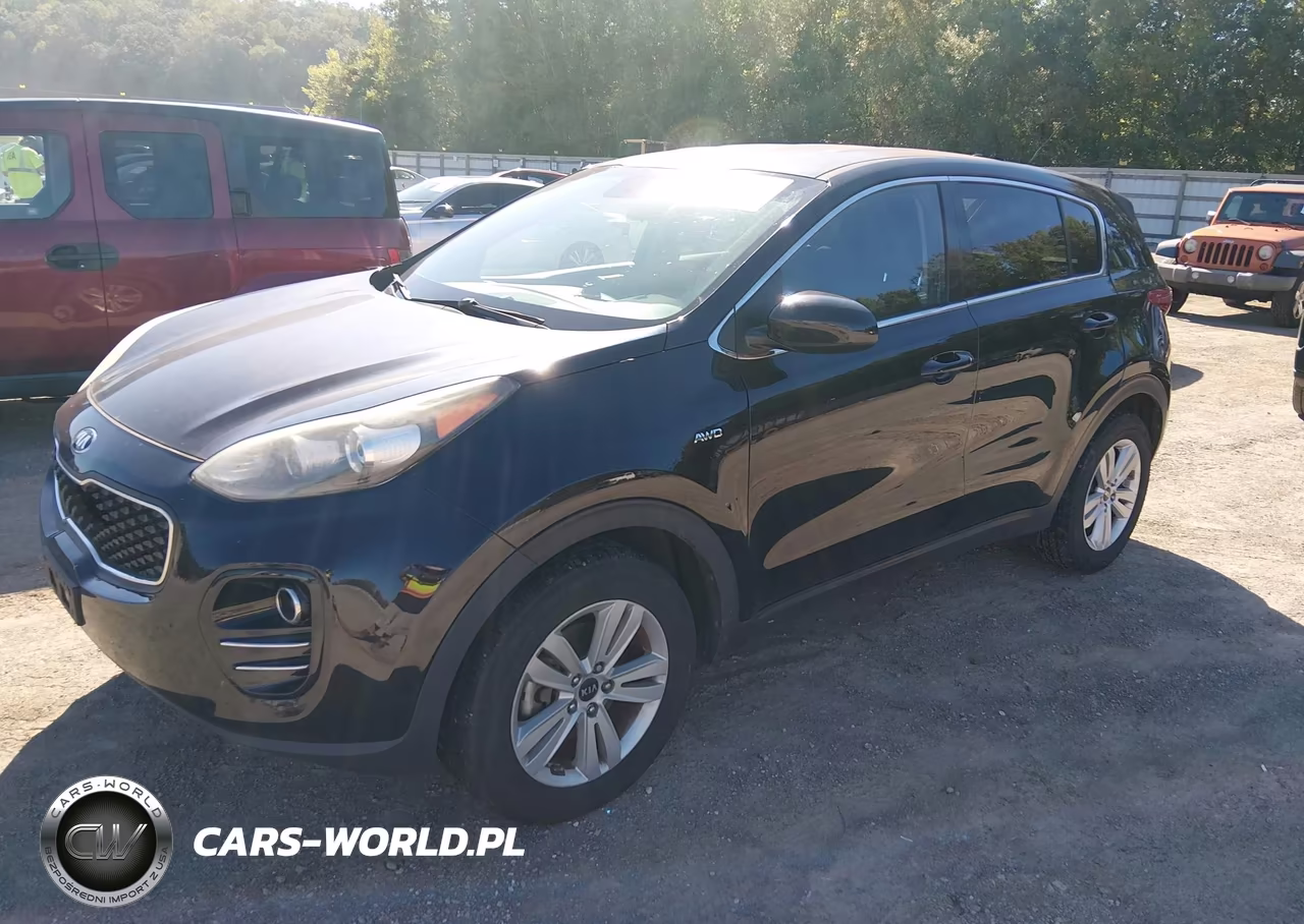 2017 Kia Sportage Lx VIN:KNDPMCAC5H7034127 - 2