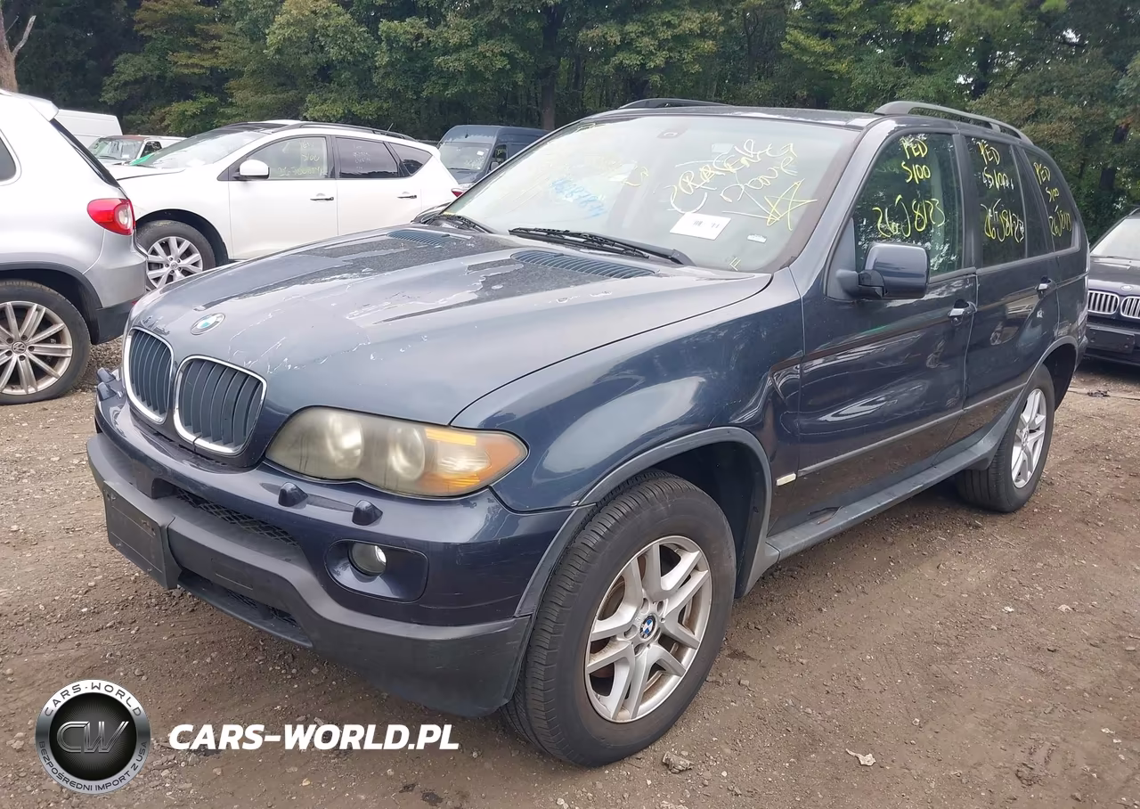 2005 BMW X5 3.0I VIN:5UXFA13525LY02350 - 2