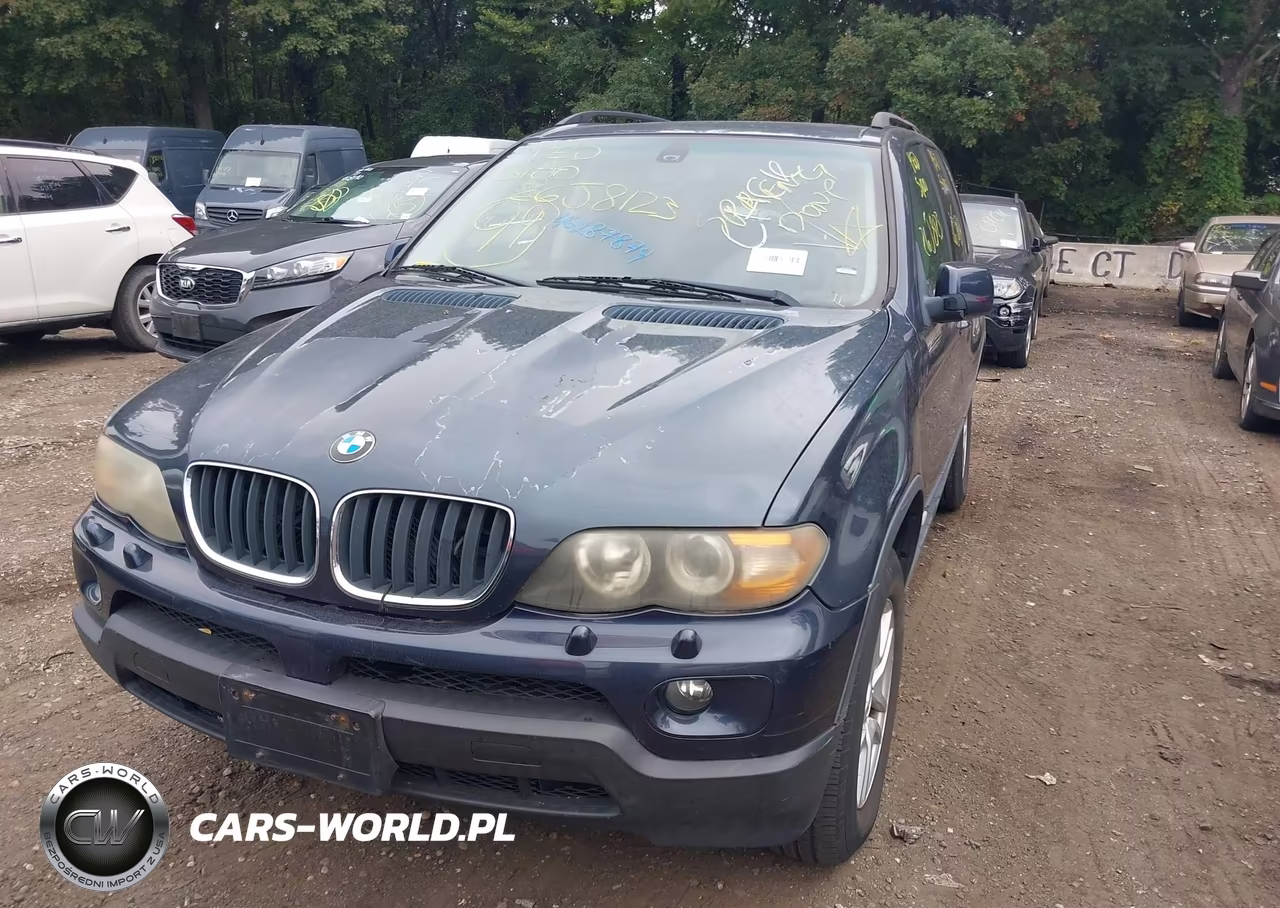 2005 BMW X5 3.0I VIN:5UXFA13525LY02350 - 6