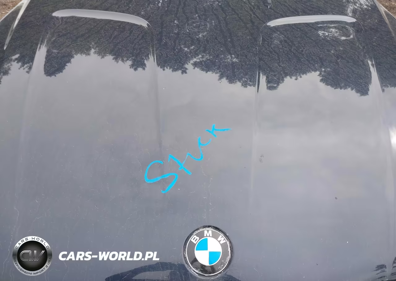 2008 BMW X3 3.0Si VIN:WBXPC93488WJ04028 - 10