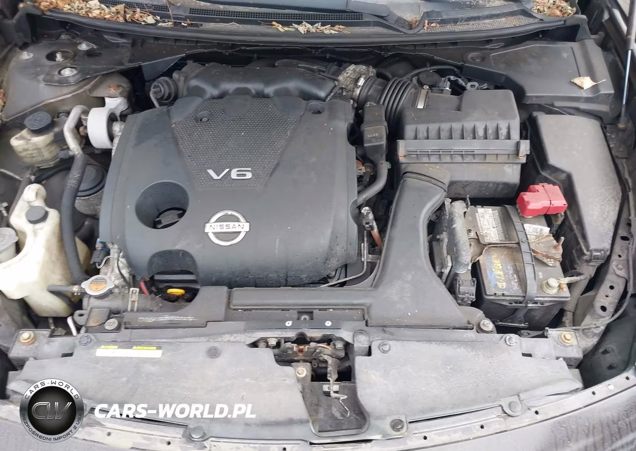 2014 Nissan Maxima 3.5 S-3.5 Sv VIN:1N4AA5AP6EC465078 - 10