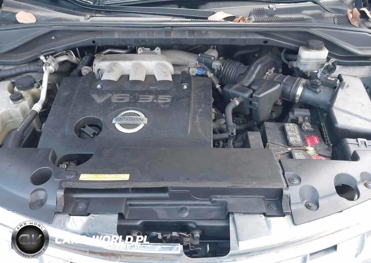 2004 Nissan Murano Sl VIN:JN8AZ08W14W303654 - 10