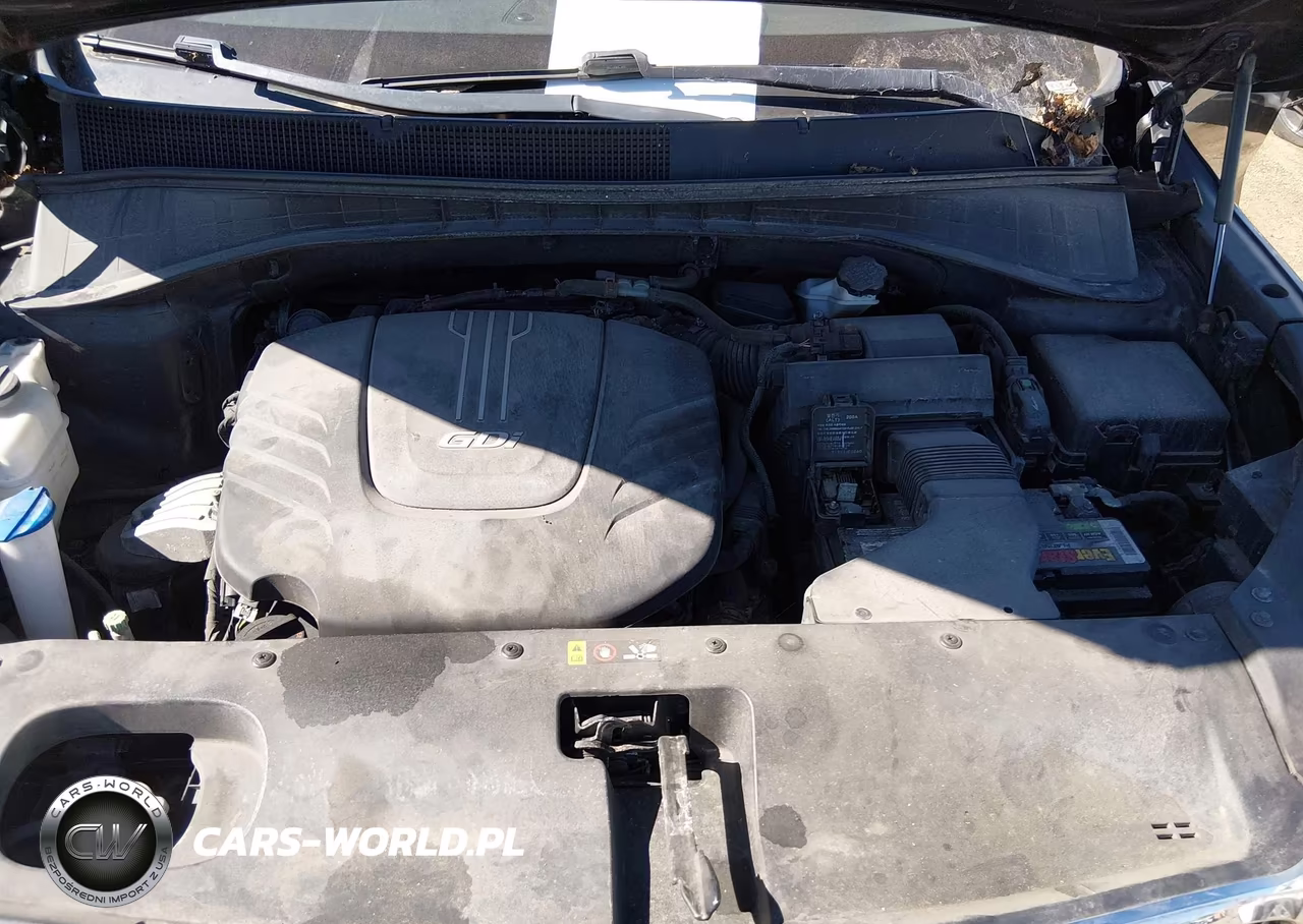 2016 Kia Sorento 3.3L Sxl VIN:5XYPKDA5XGG086531 - 10