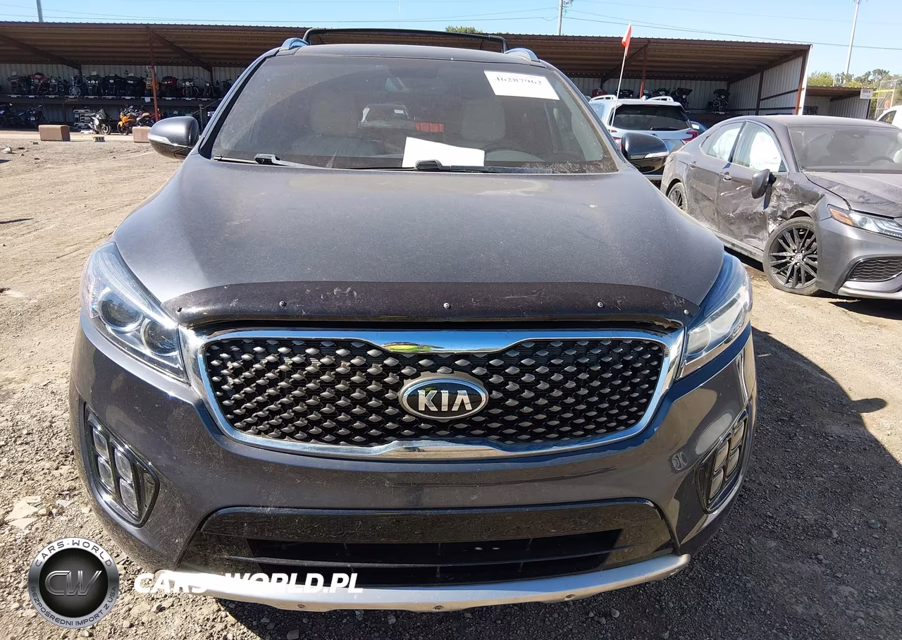 2016 Kia Sorento 3.3L Sxl VIN:5XYPKDA5XGG086531 - 12