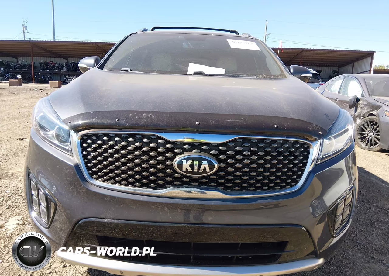 2016 Kia Sorento 3.3L Sxl VIN:5XYPKDA5XGG086531 - 6