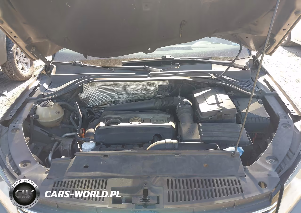 2012 Volkswagen Tiguan Se VIN:WVGAV7AX4CW005838 - 10