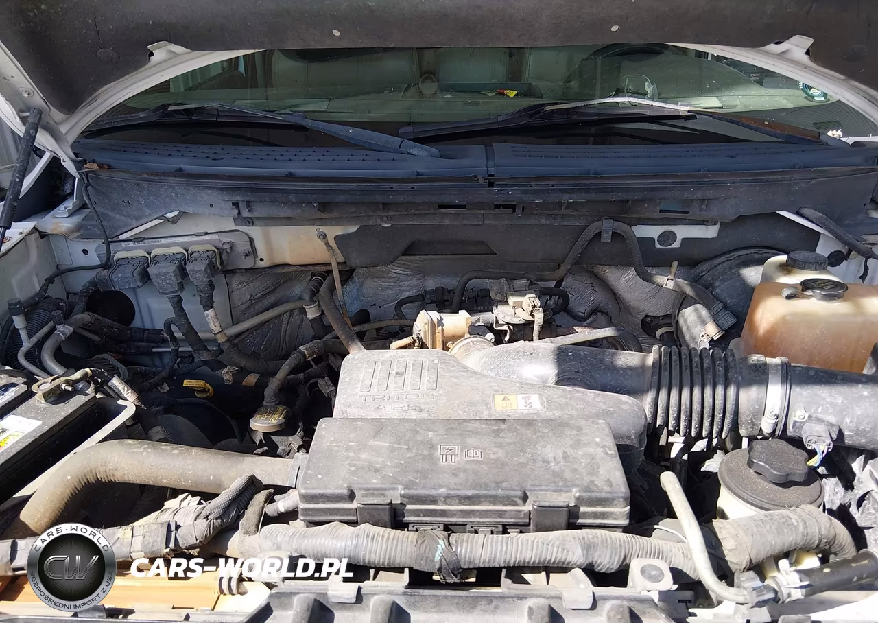2010 Ford F-150 Stx-Xl-Xlt VIN:1FTMF1CW0AKB16245 - 10