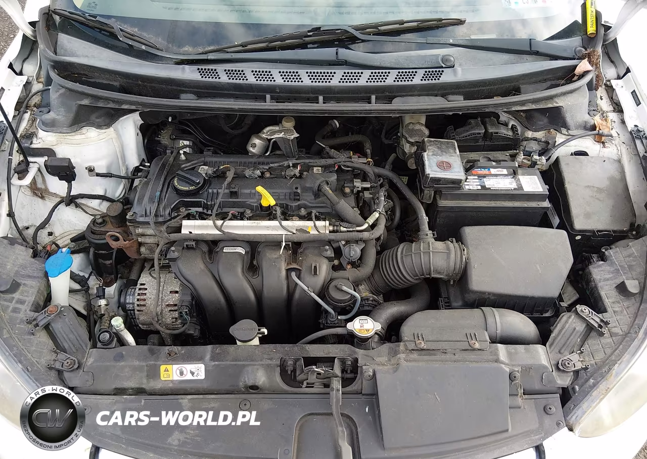 2013 Hyundai Elantra Gls VIN:5NPDH4AE9DH294535 - 10