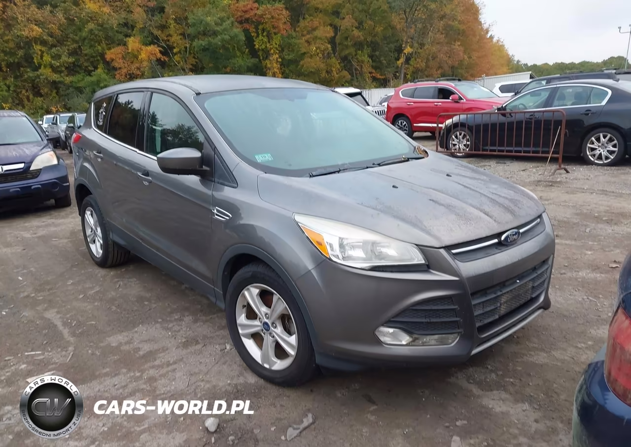 2014 Ford Escape Se