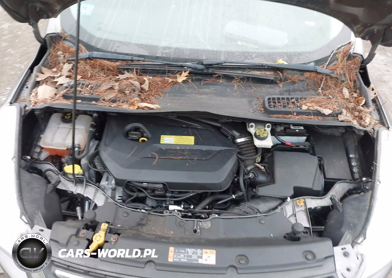 2014 Ford Escape Se VIN:1FMCU0GX4EUC18121 - 10