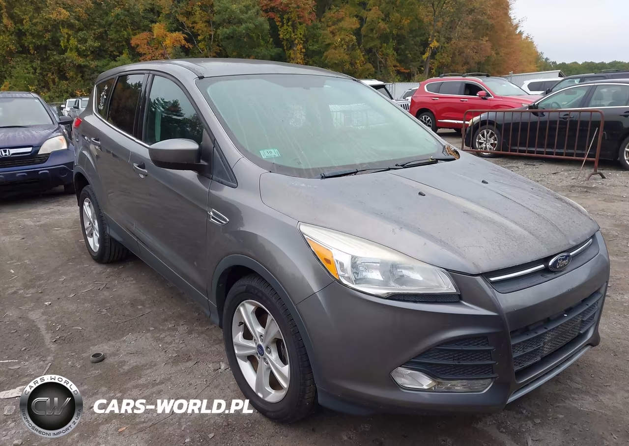2014 Ford Escape Se VIN:1FMCU0GX4EUC18121 - 6