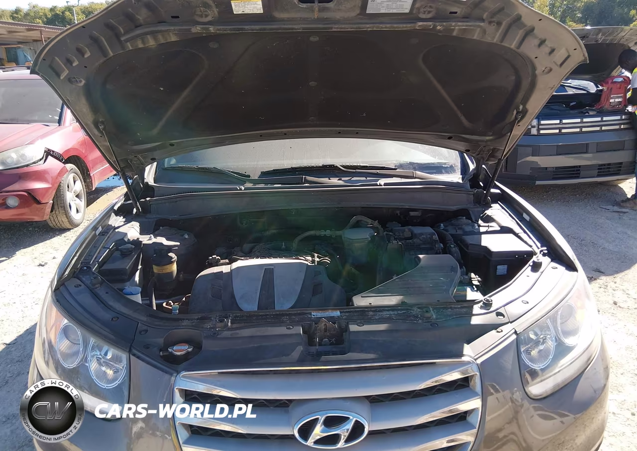 2012 Hyundai Santa Fe Se VIN:5XYZH4AGXCG146181 - 10