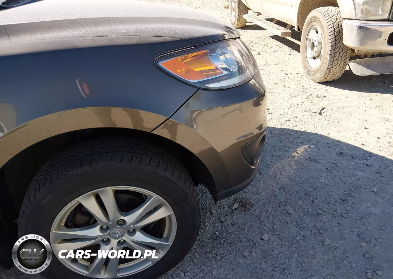 2012 Hyundai Santa Fe Se VIN:5XYZH4AGXCG146181 - 12