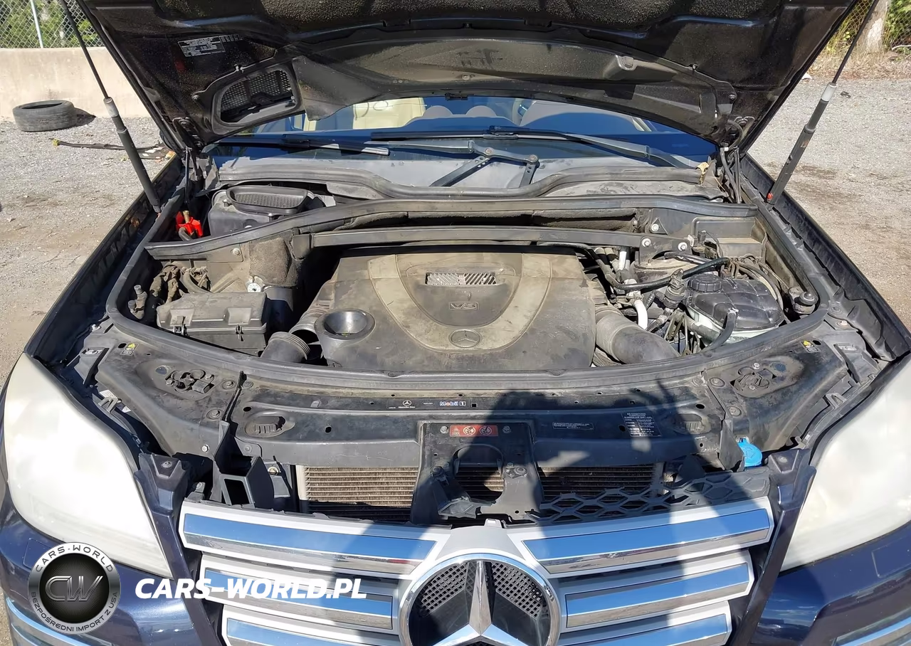 2010 Mercedes-Benz Gl 550 4Matic VIN:4JGBF8GE1AA603280 - 10