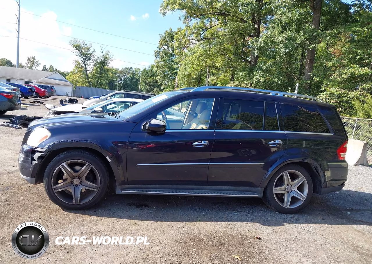 2010 Mercedes-Benz Gl 550 4Matic VIN:4JGBF8GE1AA603280 - 14
