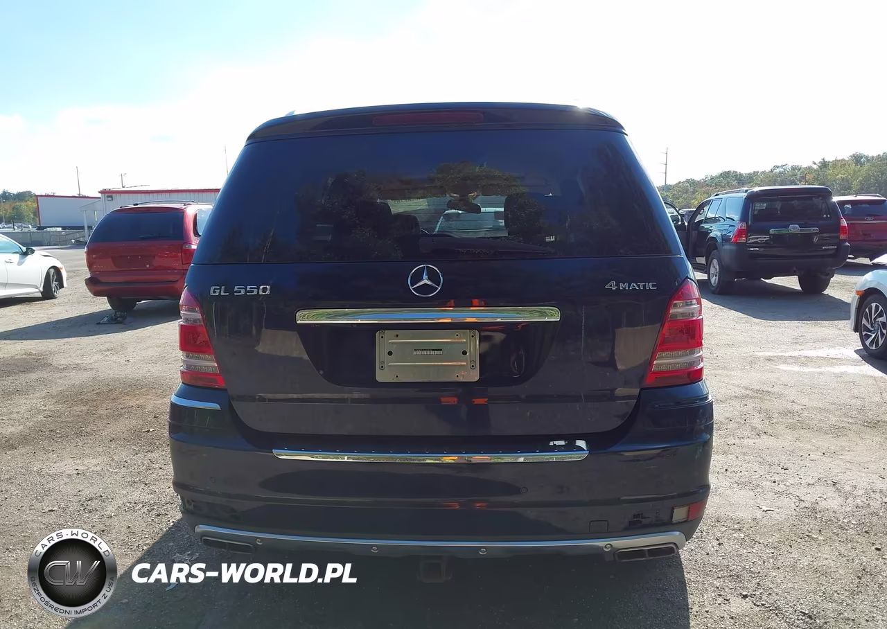 2010 Mercedes-Benz Gl 550 4Matic VIN:4JGBF8GE1AA603280 - 16