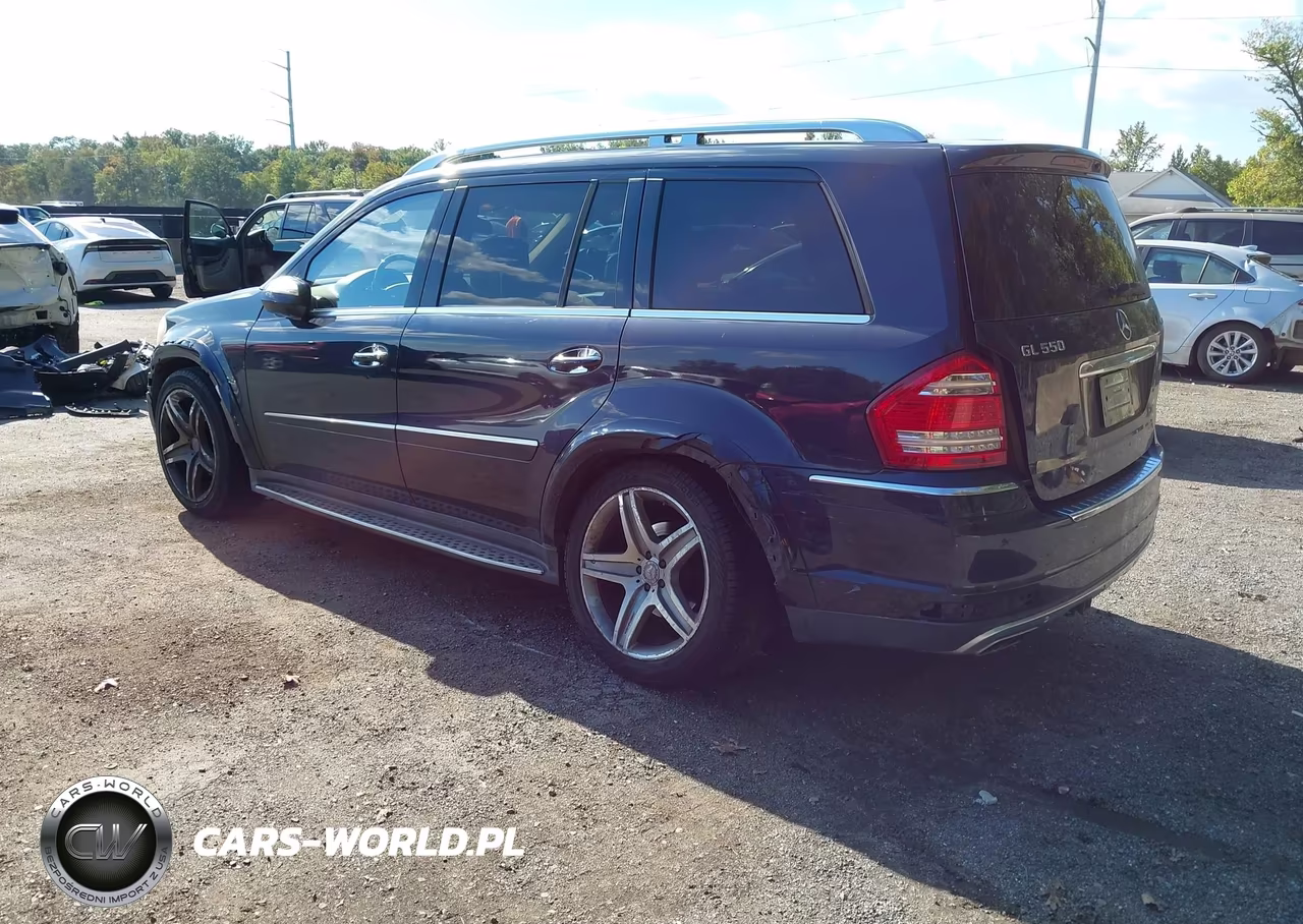 2010 Mercedes-Benz Gl 550 4Matic VIN:4JGBF8GE1AA603280 - 3
