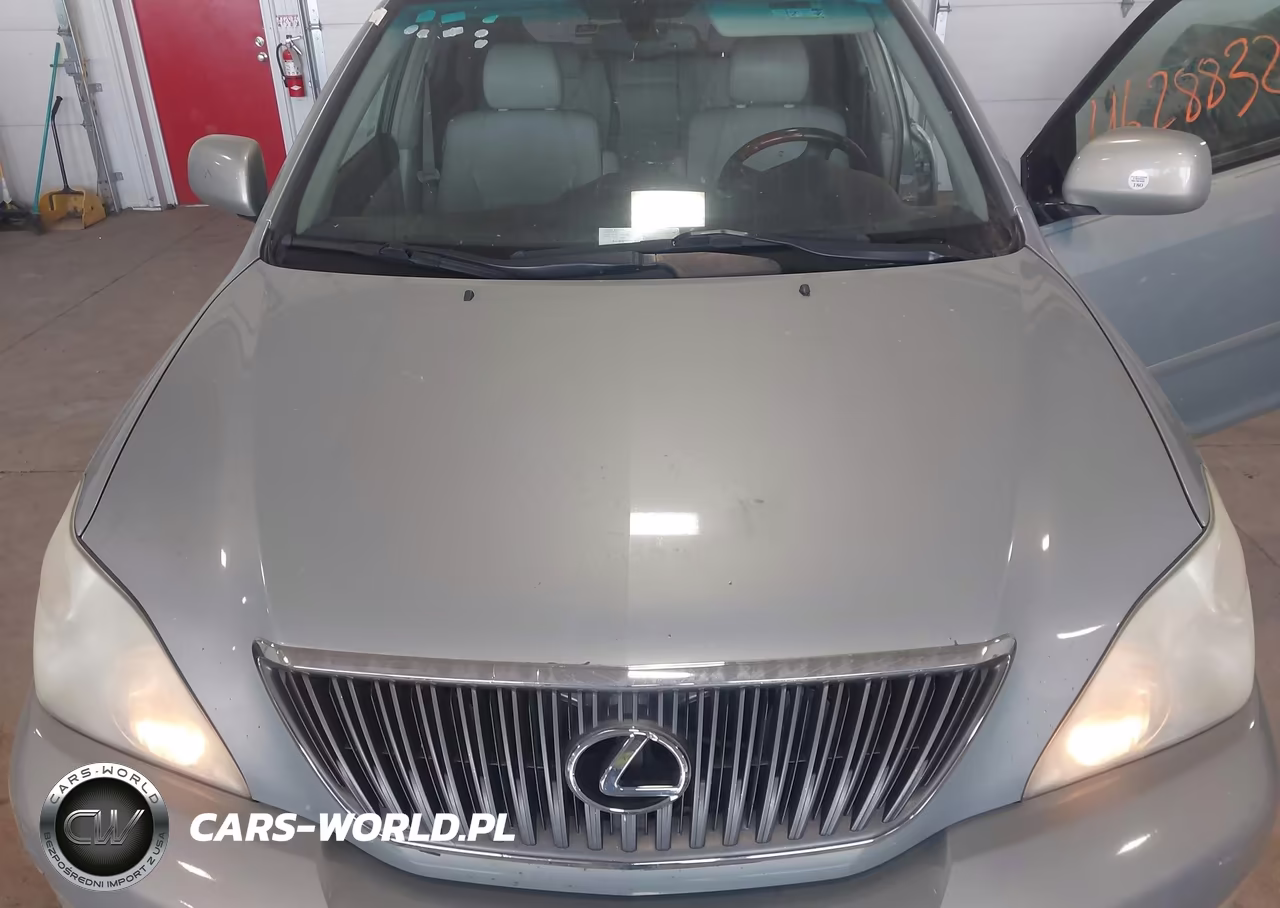 2007 Lexus Rx 350 VIN:JTJGK31U670002922 - 10