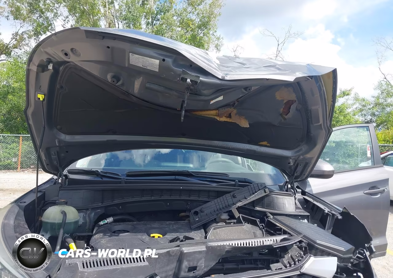 2020 Hyundai Tucson Value VIN:KM8J33A41LU238642 - 10