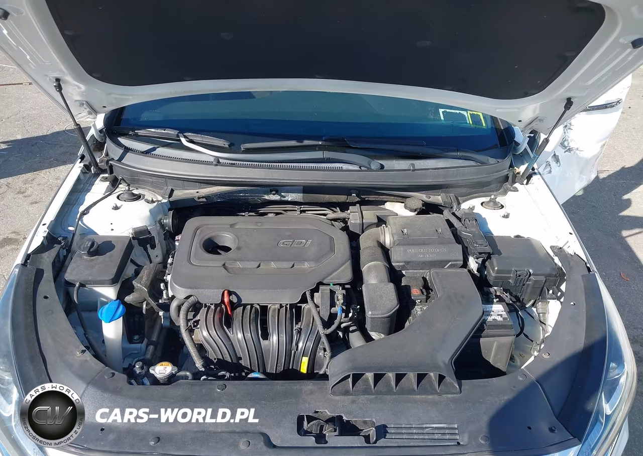 2018 Hyundai Sonata Sport VIN:5NPE34AF3JH694209 - 10