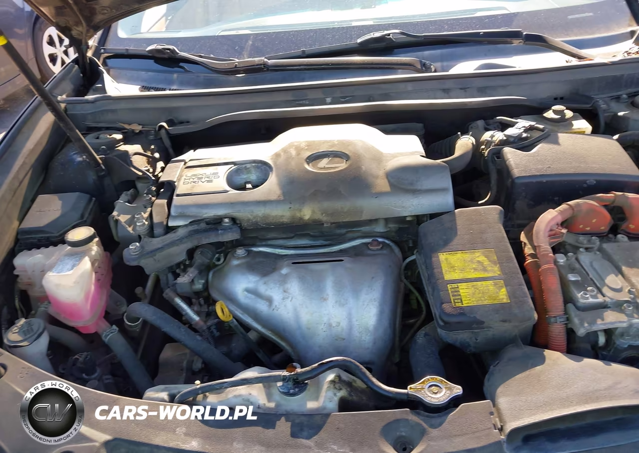 2013 Lexus Es 300H VIN:JTHBW1GG6D2029186 - 10