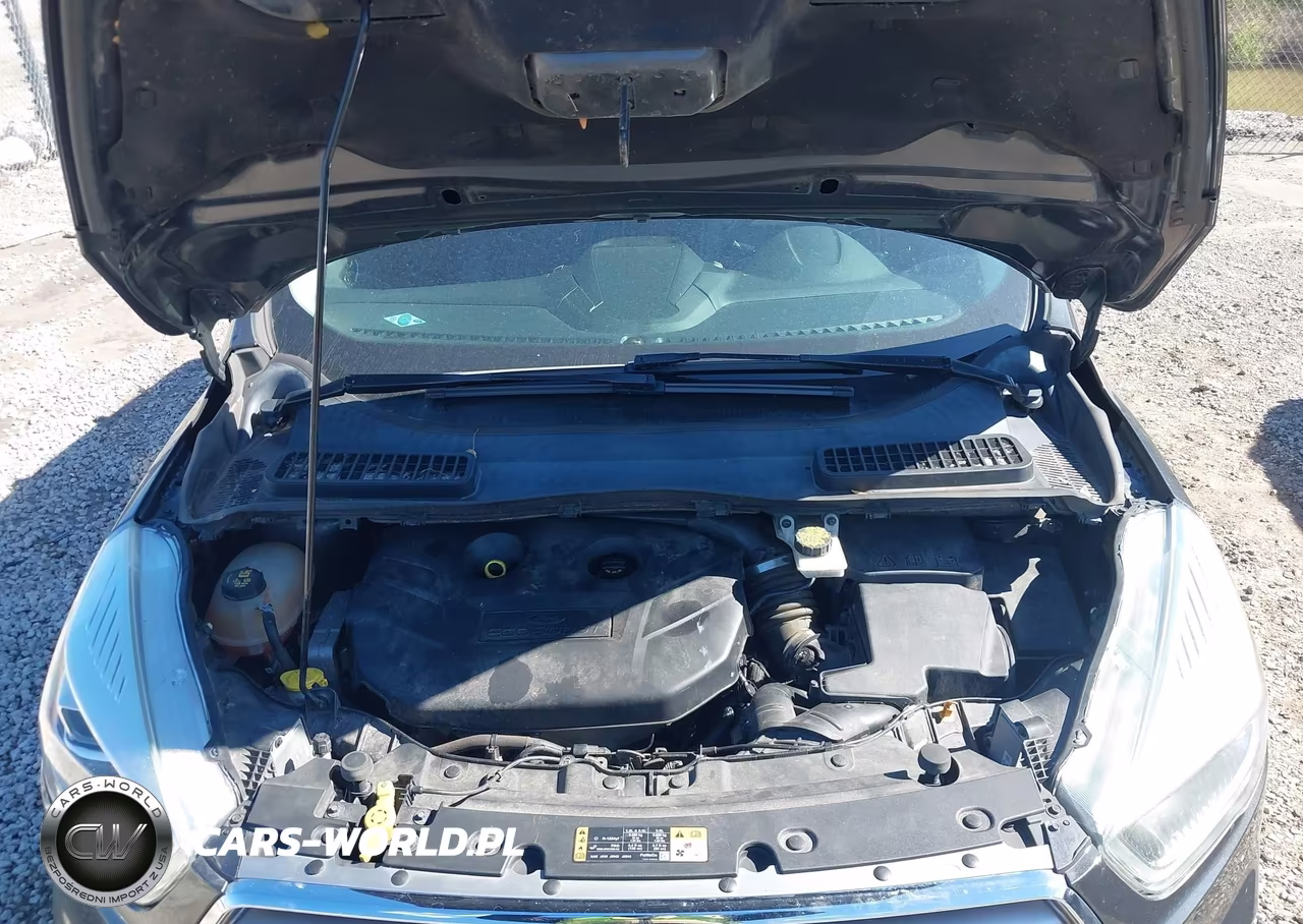 2017 Ford Escape Titanium VIN:1FMCU9J9XHUB65976 - 10