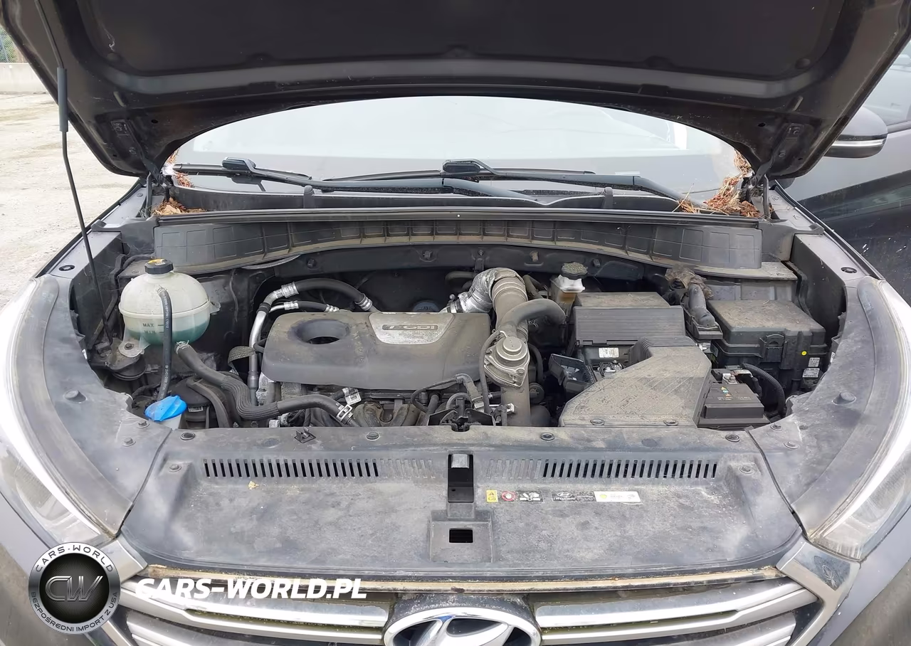 2017 Hyundai Tucson Limited VIN:KM8J3CA28HU511422 - 10