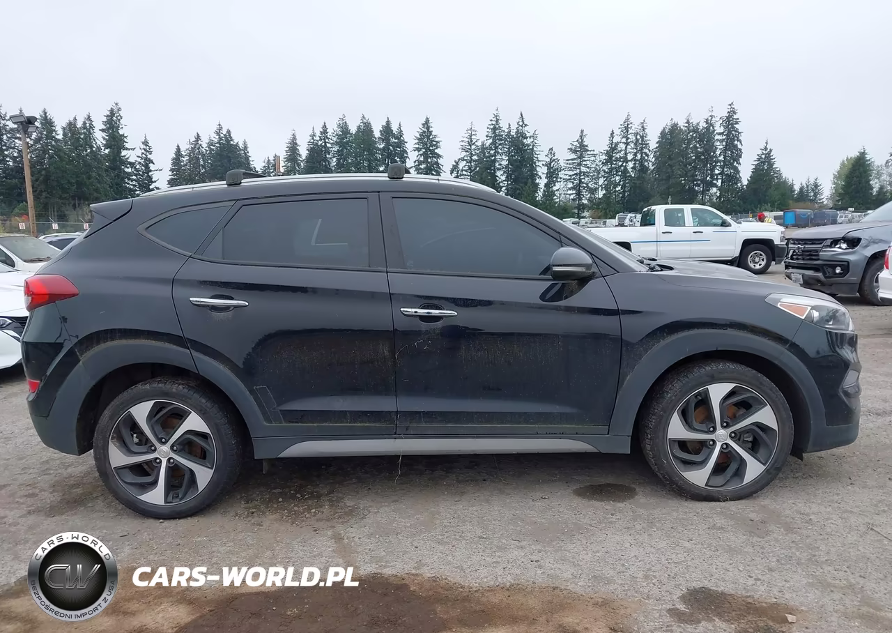 2017 Hyundai Tucson Limited VIN:KM8J3CA28HU511422 - 13