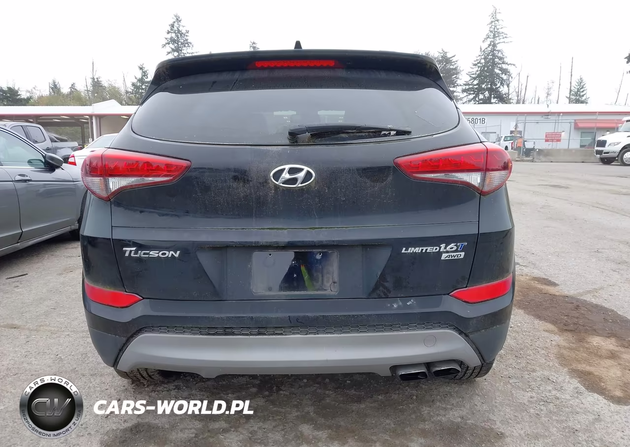 2017 Hyundai Tucson Limited VIN:KM8J3CA28HU511422 - 16