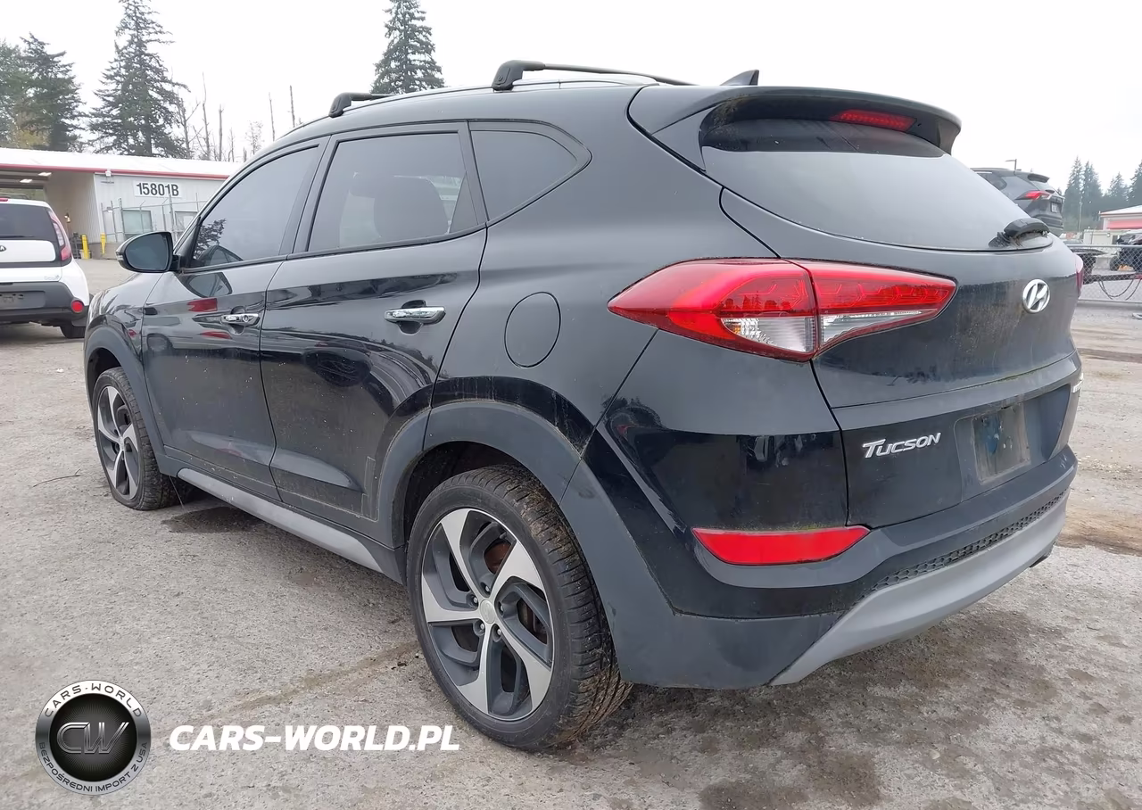 2017 Hyundai Tucson Limited VIN:KM8J3CA28HU511422 - 3