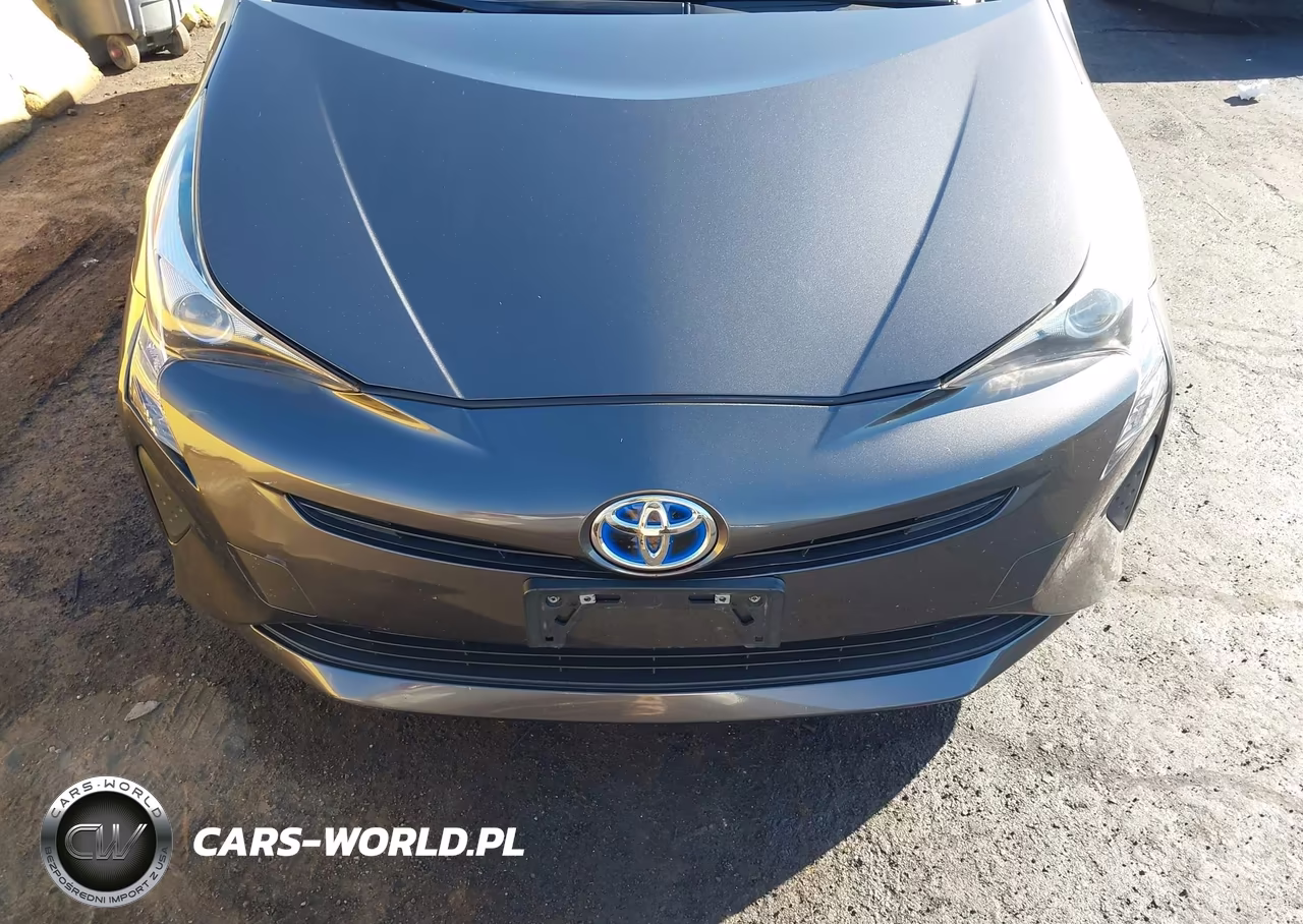 2016 Toyota Prius Two Eco VIN:JTDKARFU0G3025820 - 12