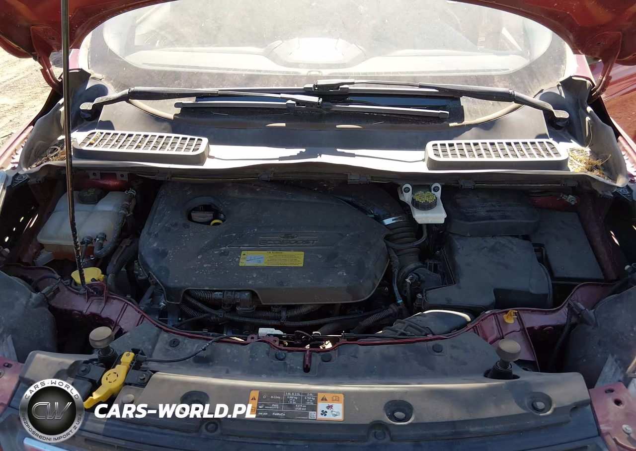 2014 Ford Escape Se VIN:1FMCU0GX6EUA71106 - 10