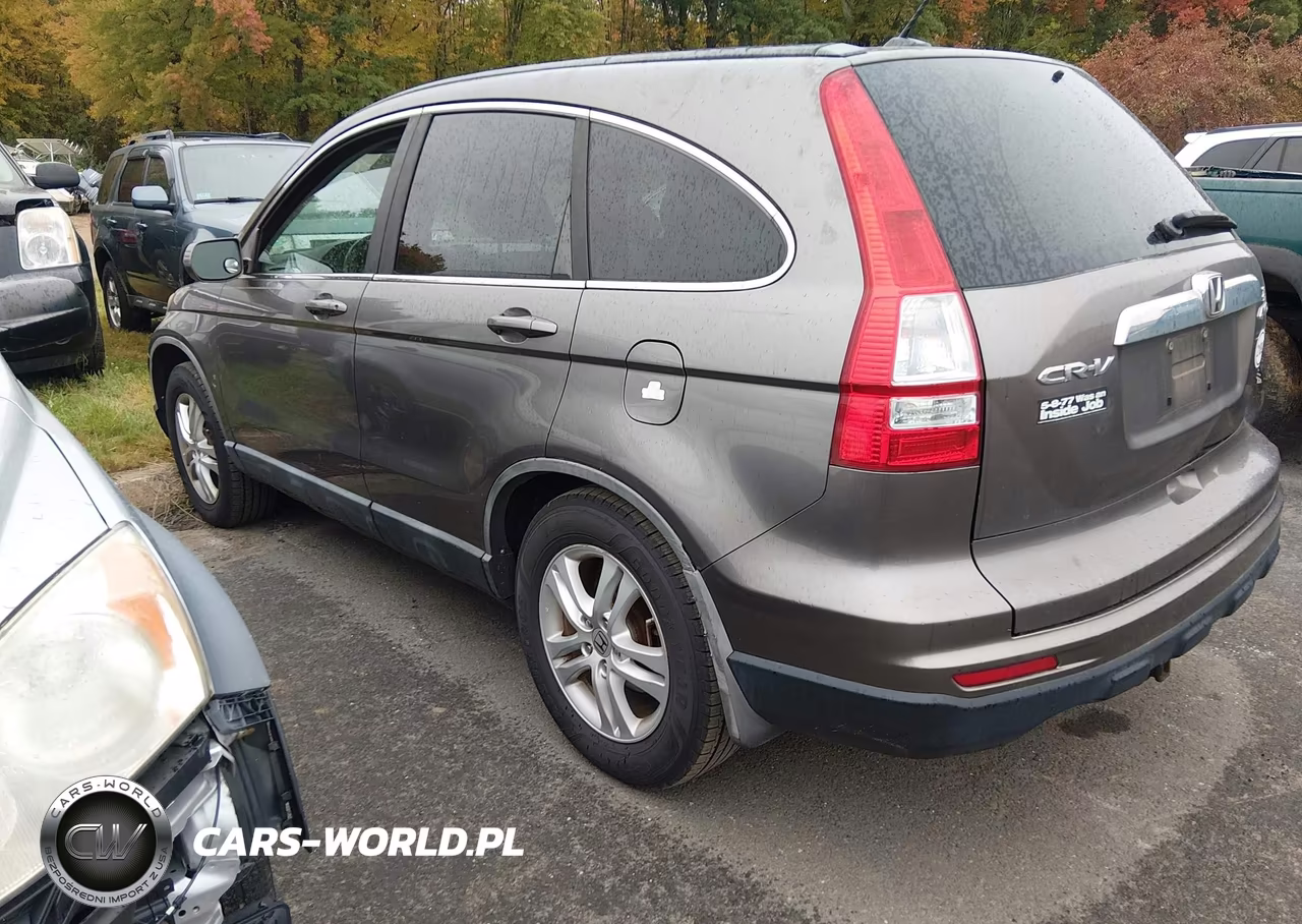 2010 Honda Cr-V Ex-L VIN:5J6RE4H71AL012783 - 3