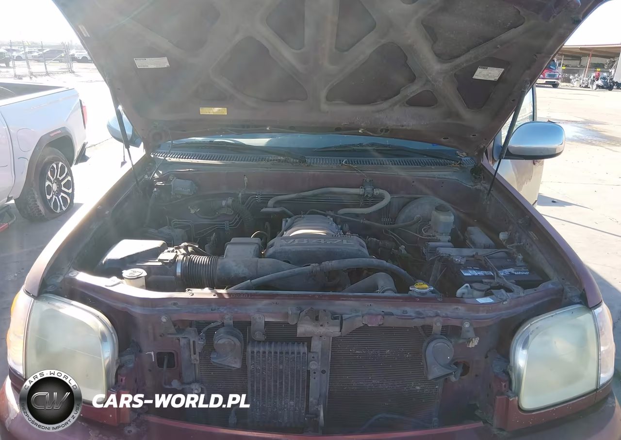 2004 Toyota Tundra Sr5 V8 VIN:5TBET34144S447699 - 10