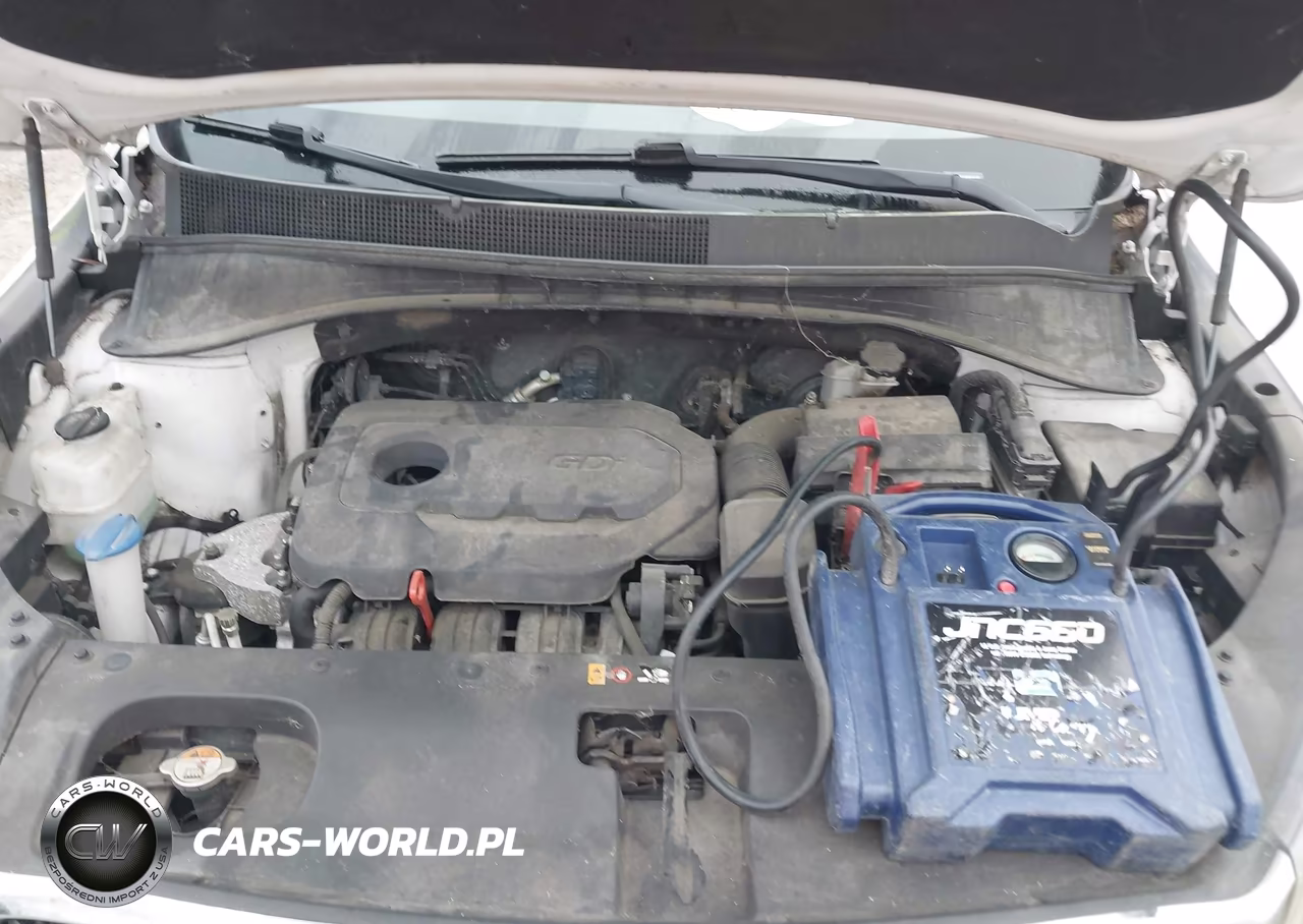 2016 Kia Sorento 2.4L Lx VIN:5XYPGDA36GG059200 - 10