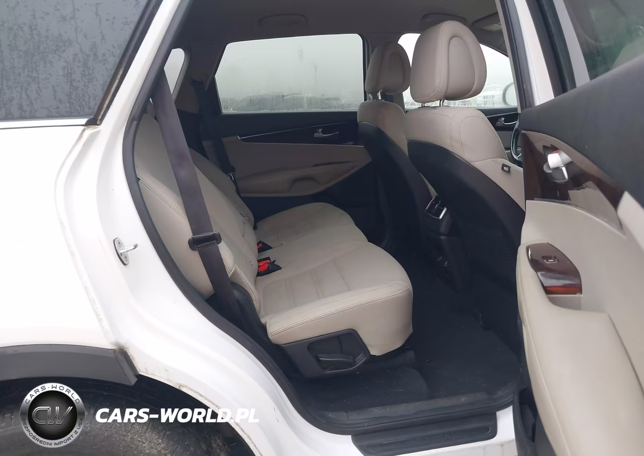 2016 Kia Sorento 2.4L Lx VIN:5XYPGDA36GG059200 - 8