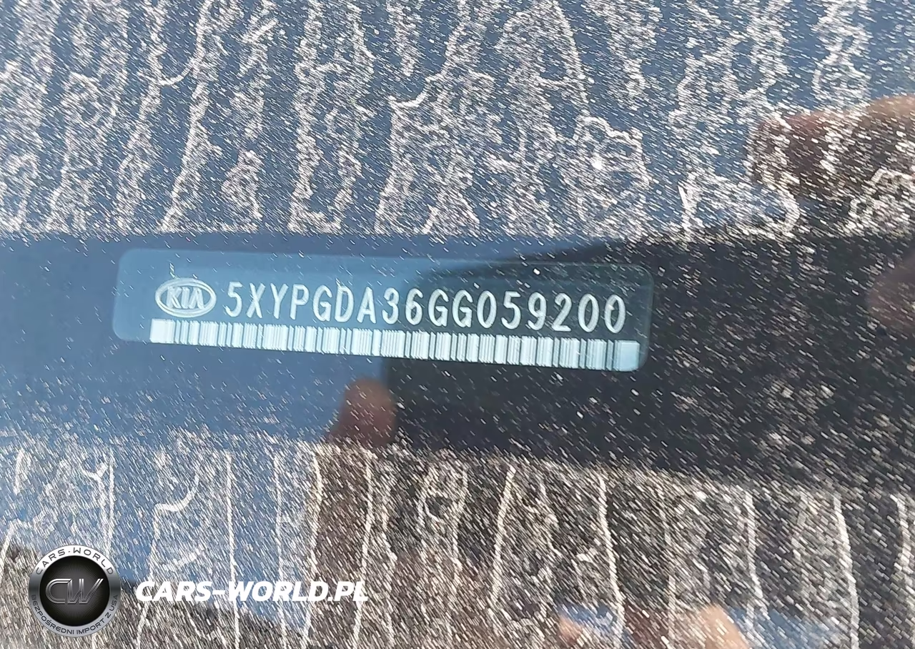 2016 Kia Sorento 2.4L Lx VIN:5XYPGDA36GG059200 - 9