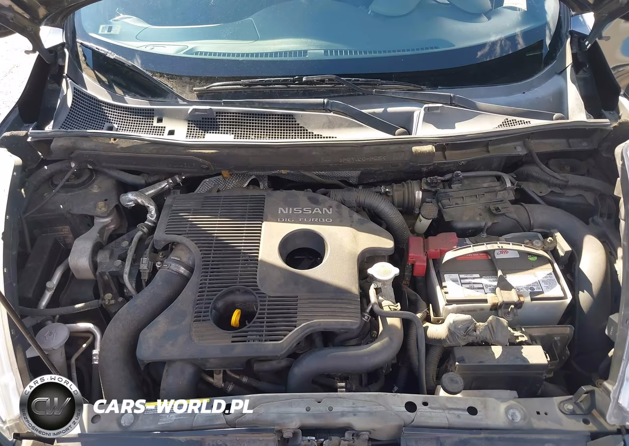 2011 Nissan Juke Sv VIN:JN8AF5MR0BT005746 - 10