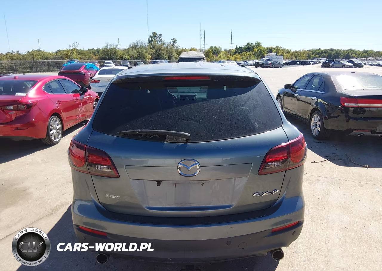 2013 Mazda Cx-9 Touring VIN:JM3TB3CAXD0410329 - 12