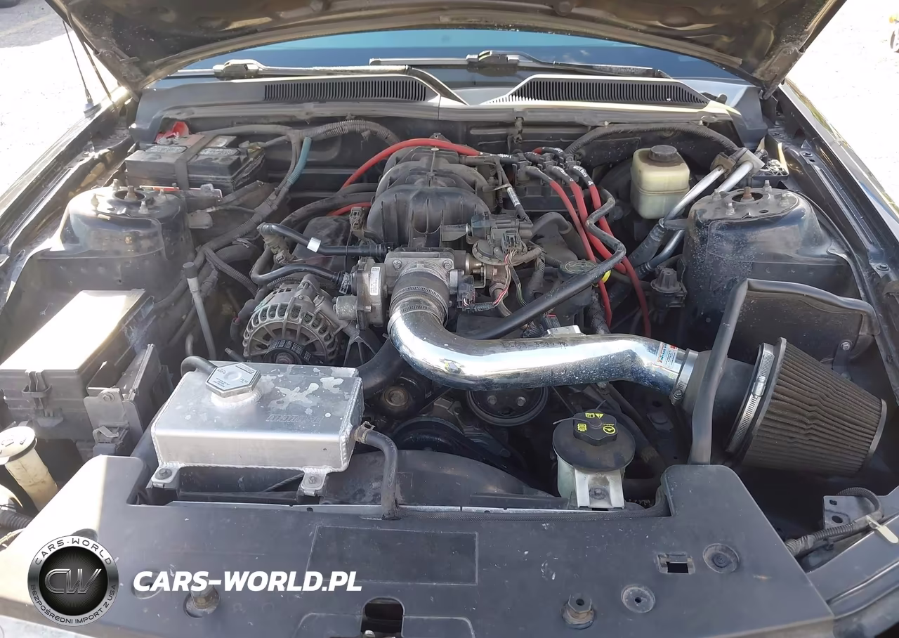 2008 Ford Mustang V6 Deluxe-V6 Premium VIN:1ZVHT80N785152874 - 10